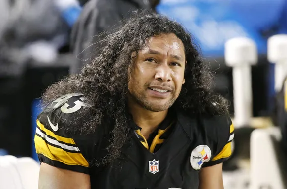 Troy Polamalu